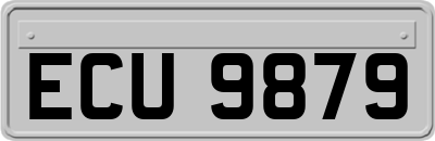 ECU9879