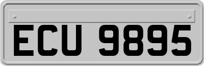 ECU9895