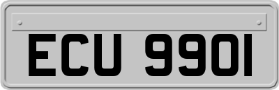 ECU9901