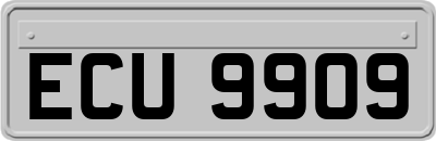 ECU9909
