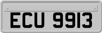 ECU9913