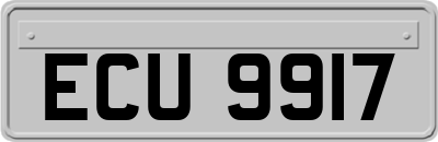 ECU9917