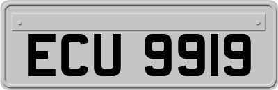 ECU9919