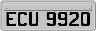 ECU9920