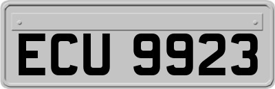 ECU9923