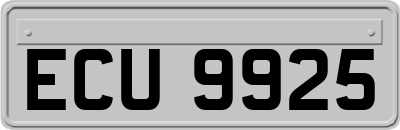 ECU9925