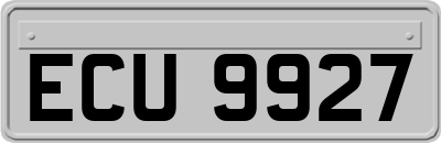 ECU9927