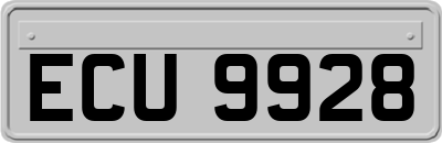 ECU9928