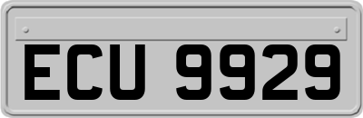 ECU9929