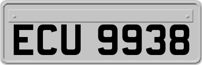 ECU9938