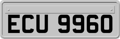 ECU9960