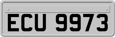 ECU9973