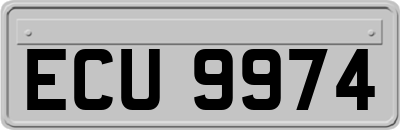 ECU9974