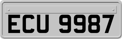 ECU9987