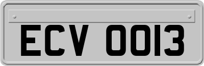 ECV0013
