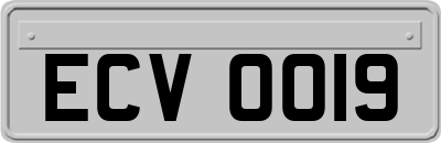 ECV0019