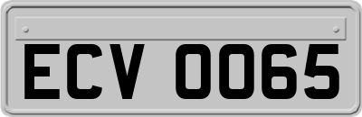 ECV0065