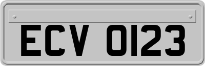 ECV0123