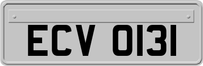 ECV0131