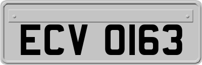 ECV0163