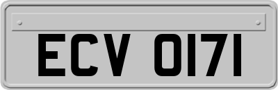 ECV0171