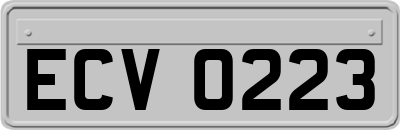 ECV0223