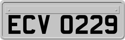 ECV0229