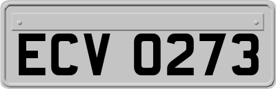 ECV0273