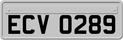 ECV0289