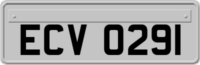 ECV0291