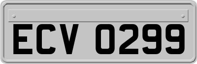 ECV0299