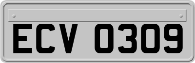 ECV0309