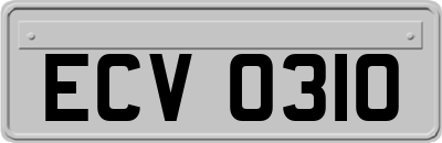 ECV0310