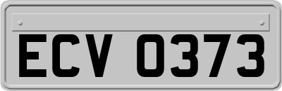 ECV0373