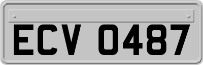 ECV0487