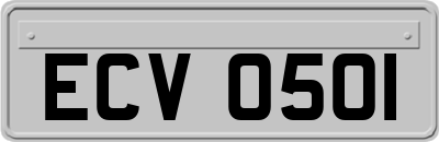 ECV0501