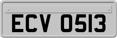 ECV0513