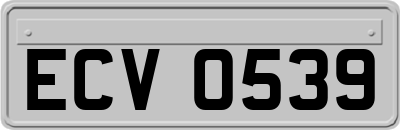 ECV0539