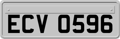 ECV0596