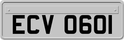 ECV0601