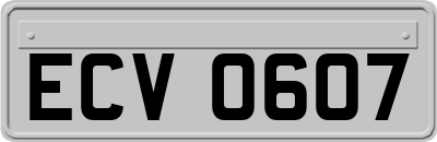 ECV0607