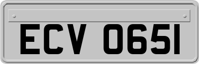 ECV0651