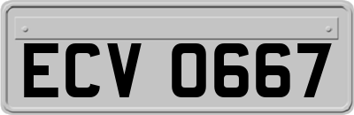 ECV0667