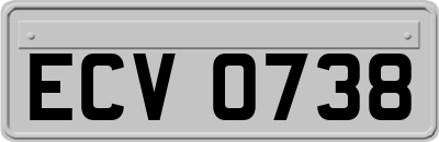 ECV0738