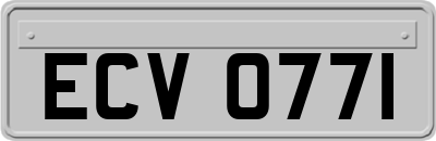 ECV0771