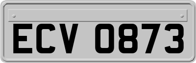 ECV0873