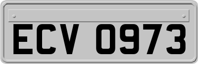 ECV0973