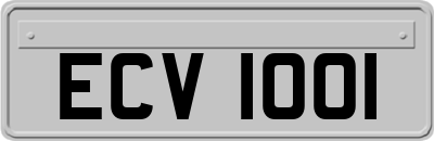ECV1001
