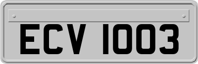 ECV1003