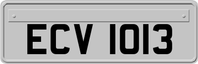 ECV1013
